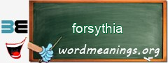 WordMeaning blackboard for forsythia